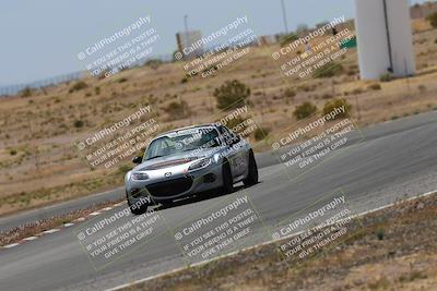 media/May-03-2025-Lucky Dog Racing (Sat) [[206de64b9d]]/Turn 6 (150pm-230pm)/